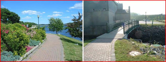 Bucksport River Trail
