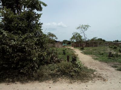 La Paulina Invasion